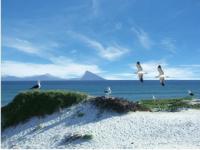 开云体育官网入口-西雅图海湾者防线稳固，力拼西悉尼流浪者全力拿分