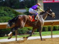 开云体育官网-瑞士滑雪健儿称王，男子体操队实力压群雄，瑞士著名滑雪运动员