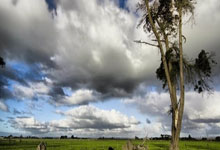 精彩对决！强强对话迸发激情