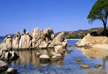 AC米兰主帅谈欧冠，调整战术备战残酷对手